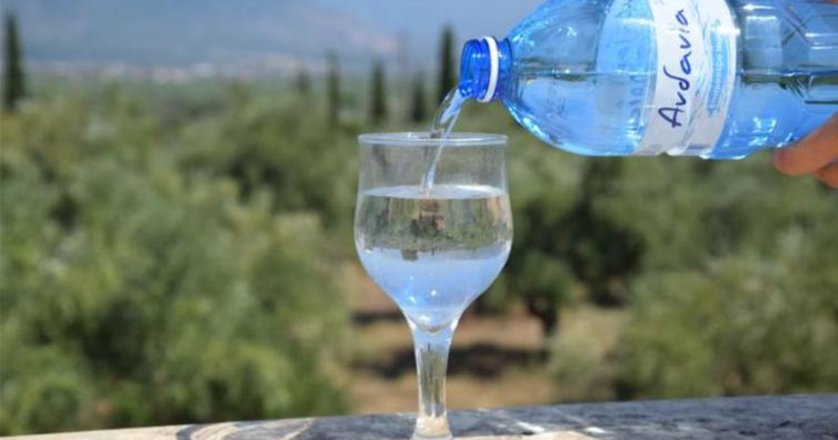 Ανάμεσα στα λίγα της Ευρώπης το αρτεσιανό νερό Ανδανία (βίντεο)